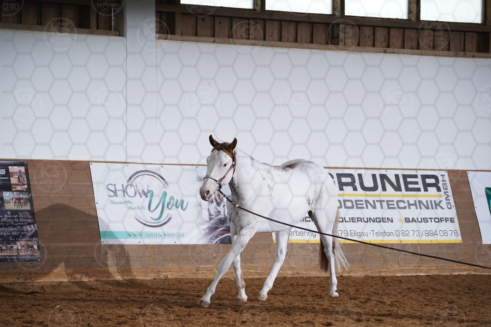 s_A9_04412.jpg
